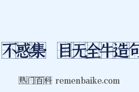 不惑集·目无全牛造句是什么意思的图片